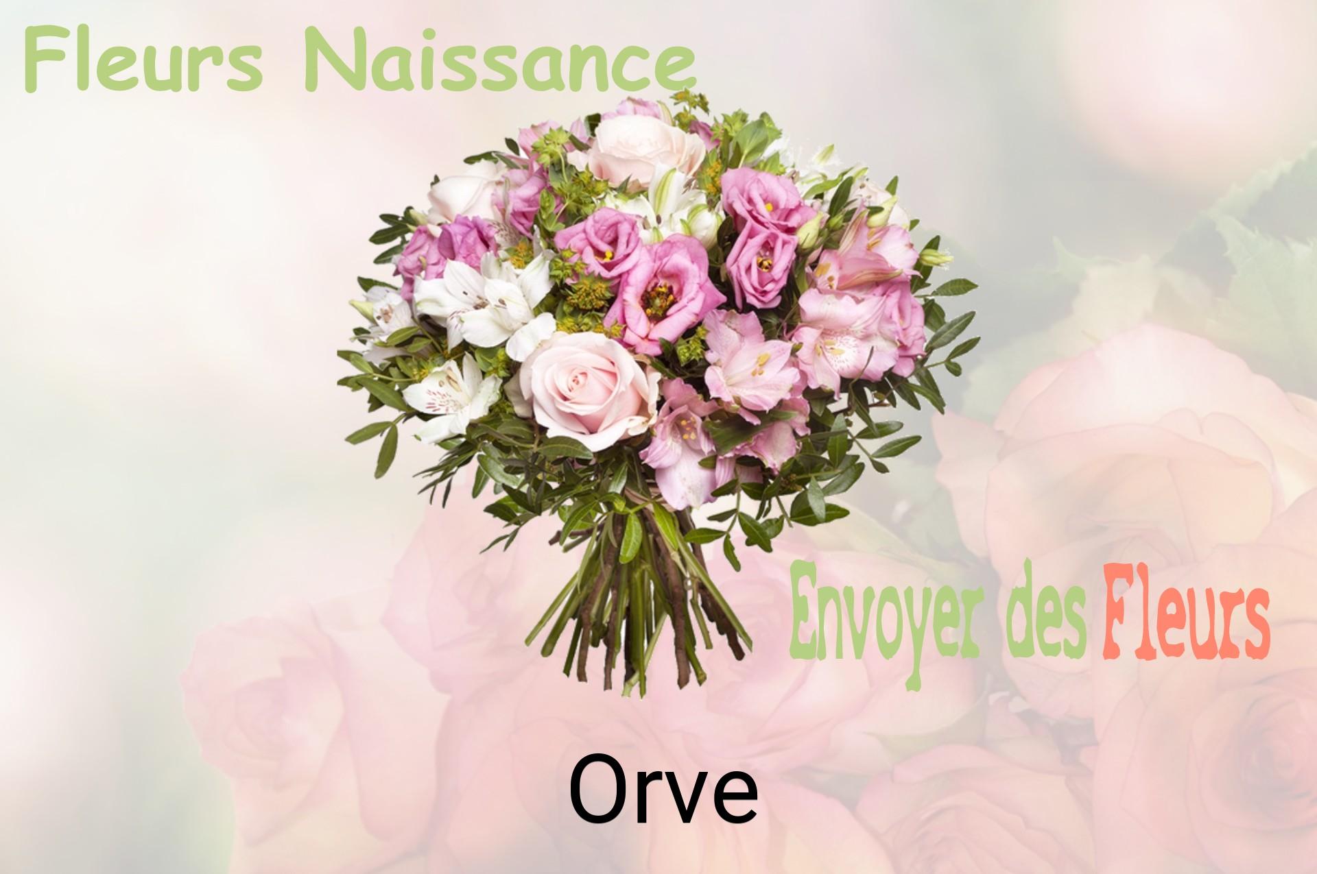 Bouquet de fleurs de naissance livré à Orve